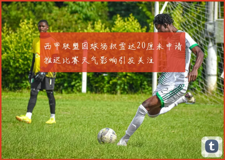 西甲联盟因球场积雪达20厘米申请推迟比赛天气影响引发关注